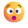 Shock